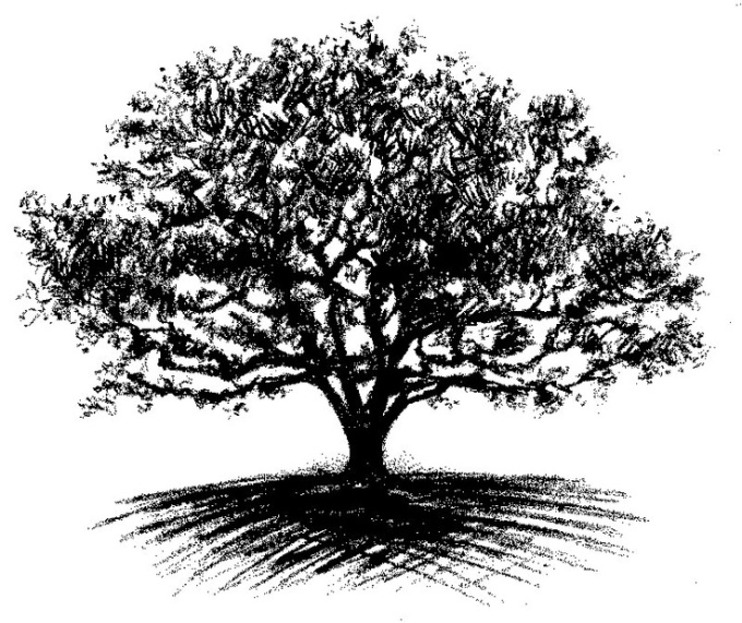tree-clipart-